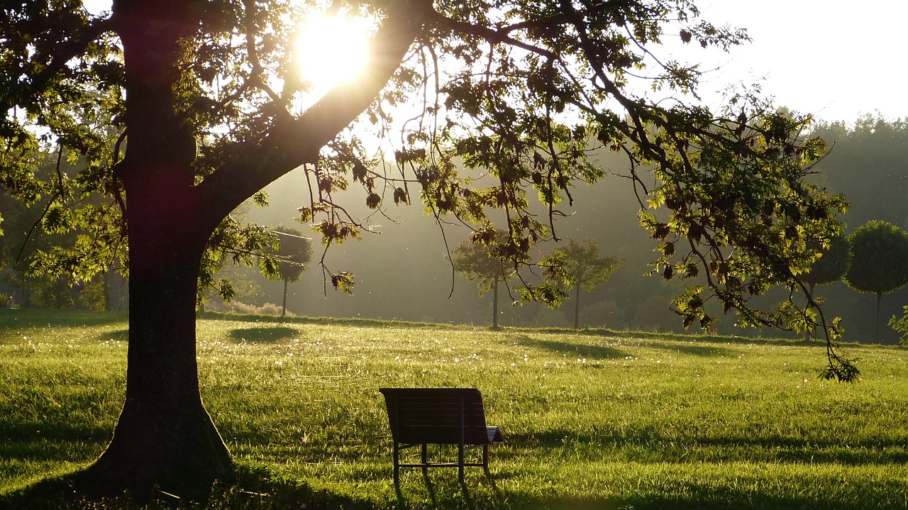 banc parc